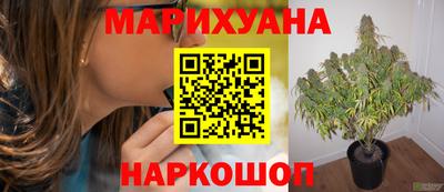 jwh Рязань