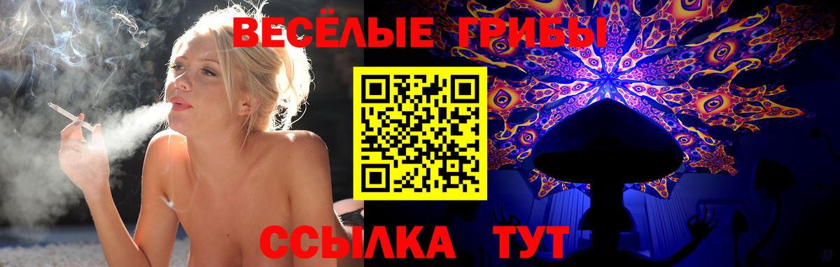 Ногинск  Псилоцибиновые грибы мухоморы  Вход с VPN 